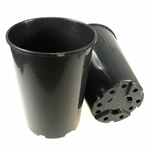 orig - 2026-01-26T164732.852