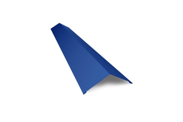 конёк-прямой-5005