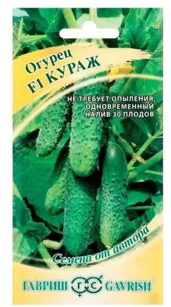 orig - 2026-02-05T163429.514