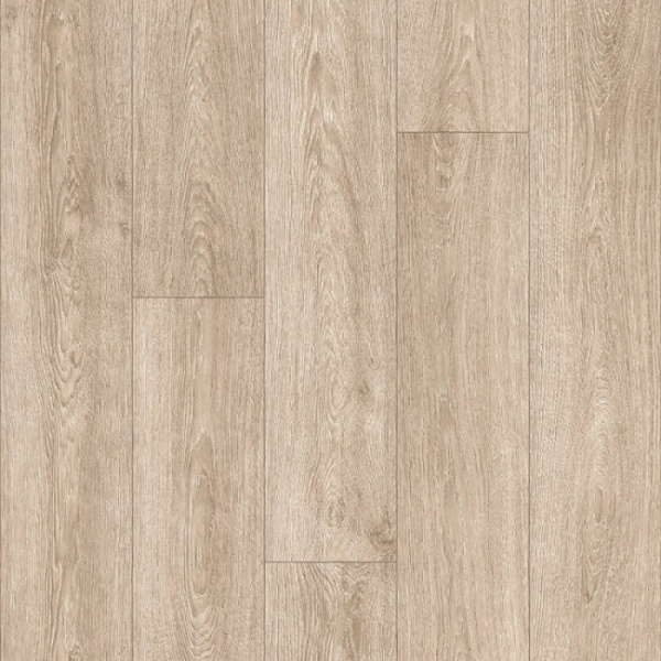 indian_oak_2_616m