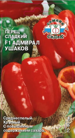 79607