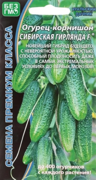 r3jv1073422xxx0qojck4cswten3xw5w