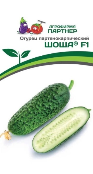 t6gz3au0j9hvi9kqj1093zvcc8fkprvo